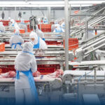 Limpieza y desinfección en plantas de procesamiento de carnes